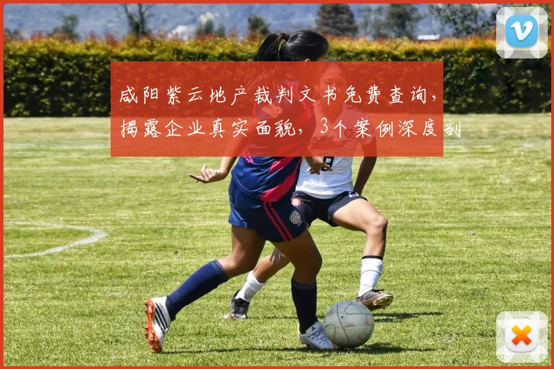 咸阳紫云地产裁判文书免费查询，揭露企业真实面貌，3个案例深度剖析，不容错过