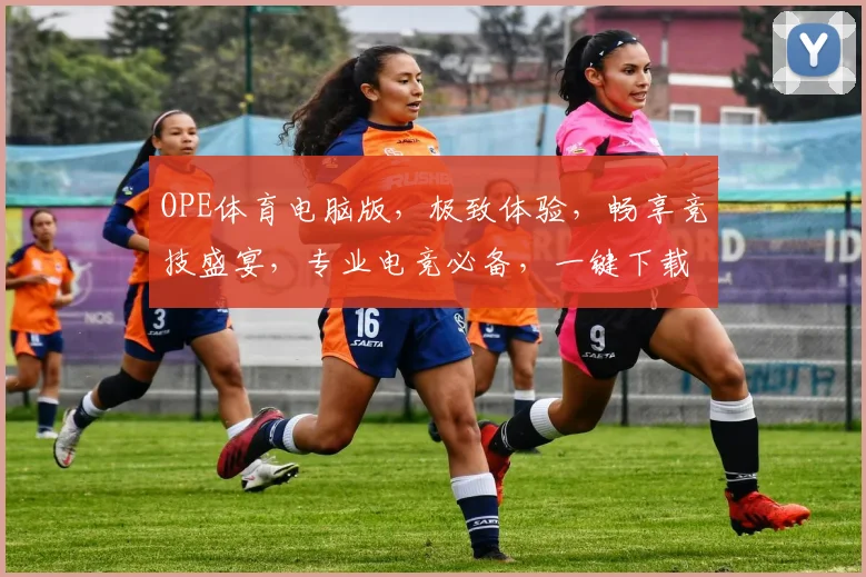 OPE体育电脑版，极致体验，畅享竞技盛宴，专业电竞必备，一键下载，畅玩无忧