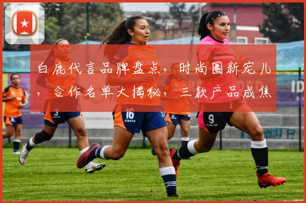 白鹿代言品牌盘点，时尚圈新宠儿，合作名单大揭秘，三款产品成焦点，引领潮流风尚