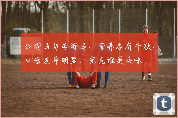 公海马与母海马，营养各有千秋，口感差异明显，究竟谁更美味