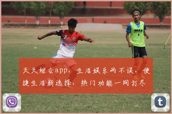 天天综合app，生活娱乐两不误，便捷生活新选择，热门功能一网打尽